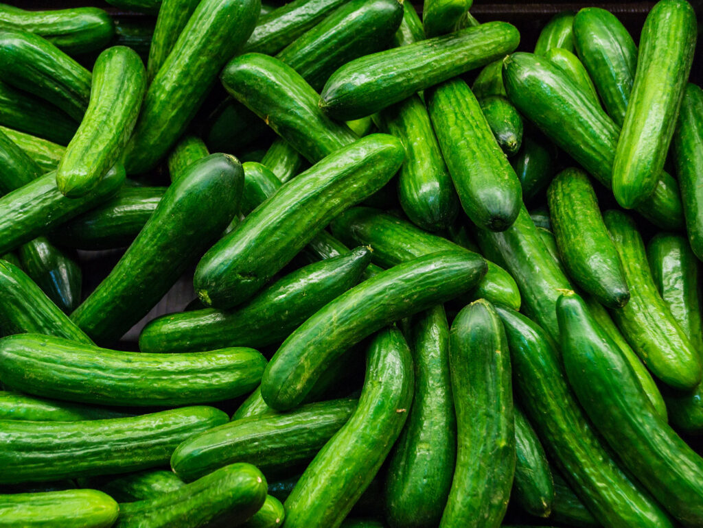 greek cucumber export to germany greekfoodnews