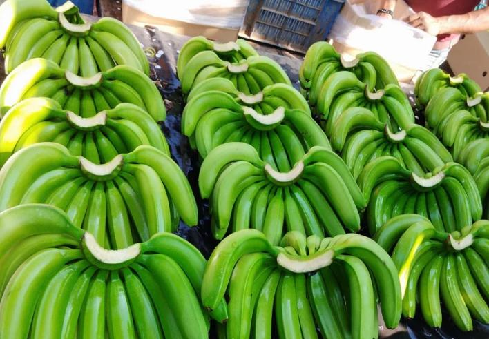 whatsapp image 2025 07 12 at 20.42.59