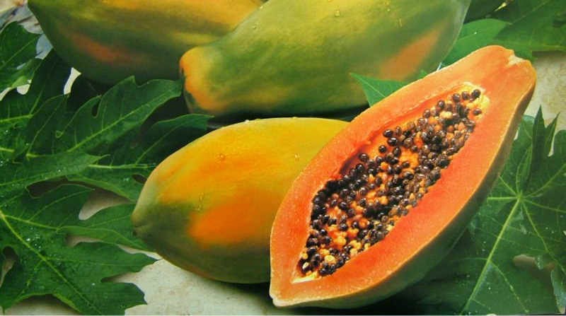 papaya 2398686