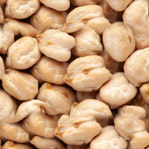 refined and most trsuted indian organic kabuli chana 434